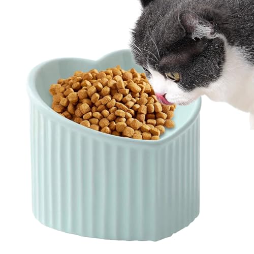 Erhöhte Katzennäpfe aus Keramik, Futternäpfe für Katzen - Geneigter Futternapf für Haustiere - Erhöhter Futternapf aus Porzellan für mittelgroße und kleine Haustiere von ulapithi