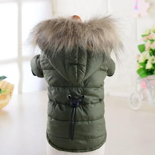 Hundemantel Kleine Hundejacke Winddicht Warm Gepolstert Daunen Hoodie Schneeanzug Winter Hundekleidung für Katze Welpen Chihuahua von umass