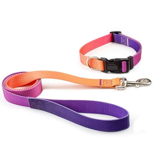 Verstellbares Nylon-Hundehalsband, Leine für Haustiere, Katzen, Hunde, Traktionsleine, geeignet für kleine, große Hunde, Bulldoggen, Mops, Beagle von umsl