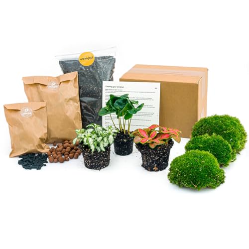 urbanjngl.com - Flaschengarten Paket Coffea Arabica - Nachfüll & Starterpaket DIY - Pflanzenterrarium Nachfüllset - Pflanzen-Terrarium-Paket - Pflanzenterrarium Refill Coffea von urbanjngl