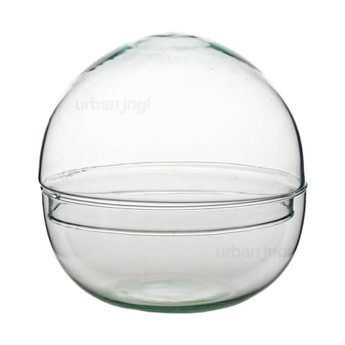 Flaschengarten - Kuppel - Konvexes Glas - Geschlossenes Terrarium ↑20 cm - urbanjngl von urbanjngl