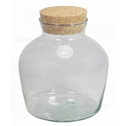 urbanjngl.com - Terrarienflasche mit Kork - Geschlossenes Terrarium ↑ 21,5 cm von urbanjngl