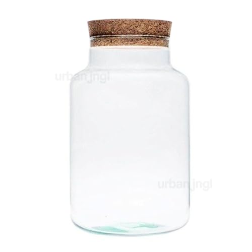 urbanjngl.com - Terrarium mit Kork - Milky - Geschlossenes Terrarium ↑30 cm von urbanjngl