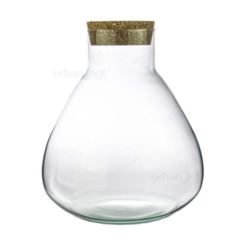 urbanjngl.com - Terrarium mit Kork - Sam XL - Geschlossenes Terrarium ↑ 35 cm Bottle sam XL von urbanjngl