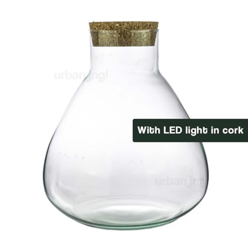 Flaschengarten - Terrarium mit LED-Korken - Sam Led - Geschlossenes Terrarium ↑ 30 cm - urbanjngl von urbanjngl