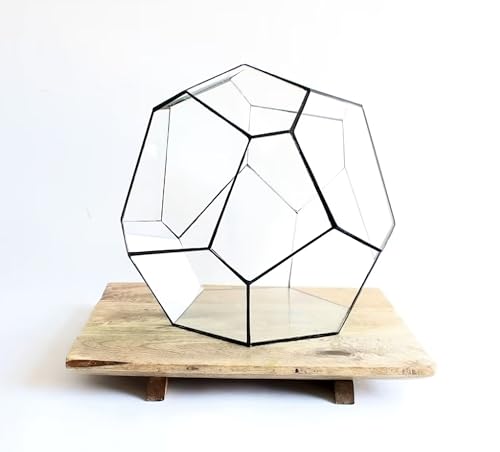 Geometrisches Terrarium - Cosmo - Vivarium - ↑ 31 x 29 x 29 cm (LxBxH) - Glas von urbanjngl