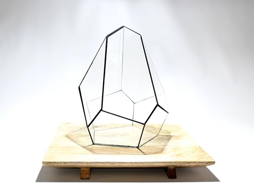 Geometrisches Terrarium - Jungle Gem - Vivarium - ↑ 16 x 15 x 19,5 cm (LxBxH) - Glas von urbanjngl