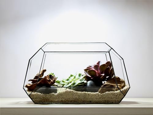 Geometrisches Terrarium - Nexus - Vivarium - ↑ 41,5 x 21 x 23,5 cm (LxBxH) - Glas von urbanjngl