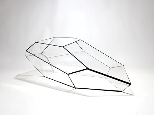 Geometrisches Terrarium - Plantasia - Vivarium - ↑ 50 x 25 x 17,5 cm (LxBxH) - Glas von urbanjngl