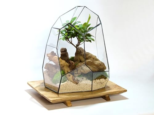 Geometrisches Terrarium - Stellar - Vivarium - 27x27x36 cm - Wasserdicht - Glas von urbanjngl