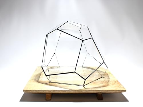 Geometrisches Terrarium - Torno - Vivarium - ↑ 28 x 26 x 24 cm (LxBxH) - Glas von urbanjngl