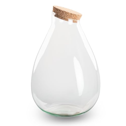 urbanjngl.com - Terrarium mit Kork - Drop XL - Geschlossenes Terrarium ↑ 37cm von urbanjngl