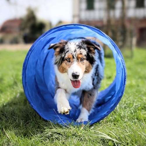 vabiono Hunde Agility Tunnel - Hundetunnel 55x150cm Spieltunnel Agilitytunnel Hundehöhle LZ von vabiono