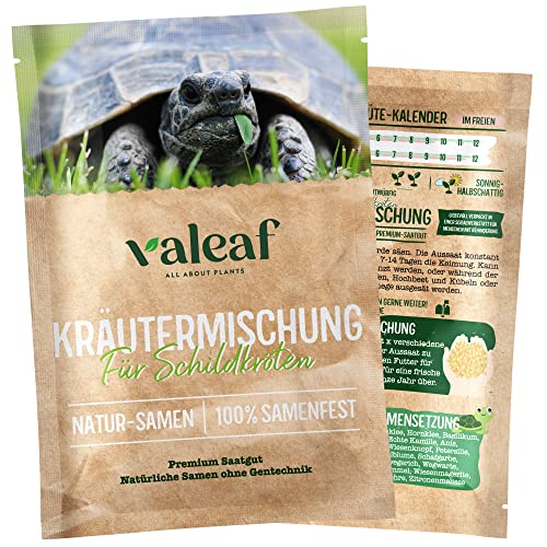 valeaf Schildkröten Samenmischung I Wildkräuter Samen I Schildkrötenfutter Landschildkröten I Schildkröten Pflanzen als Futterpflanzen für Landschildkröten I Wildkräuter Samen Schildkröte von valeaf