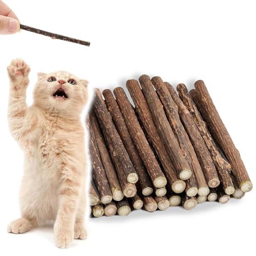 vcsjw Katzenminze Stick,30 Stück Matatabi Stick Katze,Natürlich Katzensticks,Katzengras Sticks,Katzen Sticks,Katzen Zahnpflege und Gegen Mundgeruch,Schleifen von Zähnen (Durchmesser 5-7mm) von vcsjw