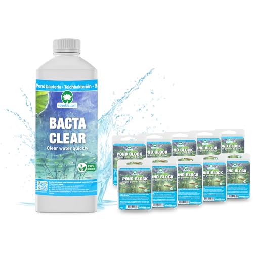 vdvelde.com - BACTA Clear + 10x Pond Block - Für 10.000 Liter- Drahtalgenfrei in 10 Tagen- Fadenalgen- und Schwebealgenbekämpfung von vdvelde.com