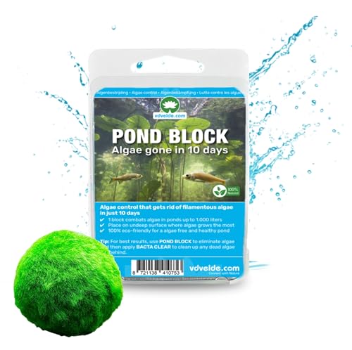 vdvelde.com - Bio Mooskugeln Echt 5er Set - Marimo Moosball 5 cm Pflanzen - Fadenalgen Bekämpfung von vdvelde.com