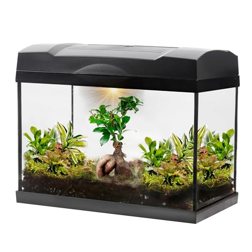 vdvelde.com - Jungle Bonsai Mega Terrarium - 1 Bonsai + 5 farbige Pflanzen - Abmessungen: 39x21x31 cm - Beleuchtung mit Netzanschluss von vdvelde.com