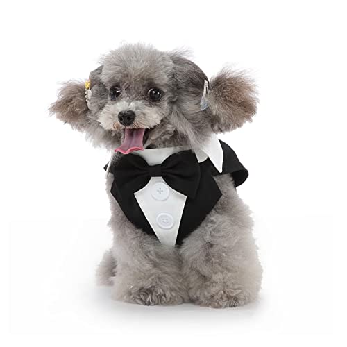 vercosee Stilvolles Hundekostüm, Fliege, Outfit, verstellbar, Hochzeitsfliege, Shirt, formeller Hund, Smoking, Hochzeitskleidung, Hochzeitskleidung für große, mittelgroße und kleine (Medium) von vercosee