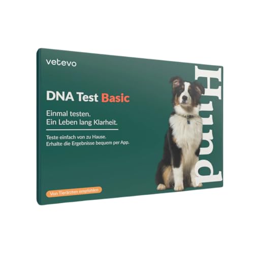 vetevo DNA Test Hund Basic Zur Rassenbestimmung, Gentest Hund auf 200+ Hunderassen, einfacher Hunde DNA Test für Zuhause, gratis Laborversand von vetevo