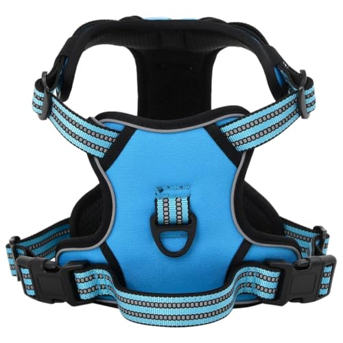 vidaXL Hundegeschirr, Brustgeschirr mit Leine Halsband, Sicherheitsgeschirr Reflektierend Verstellbar, Haustiergeschirr, Blau L Polyester von vidaXL