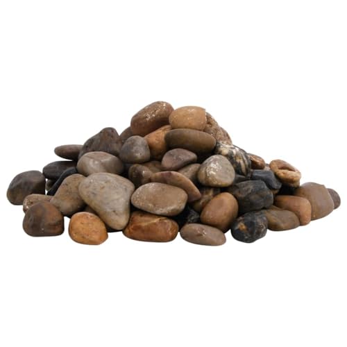 vidaXL Polierte Kiesel, Kieselsteine mit guter Drainage, Flusskiesel Zierkies für Aquarium Garten Dekoration, Dekosteine Gartenkies Glanzkies, Mehrfarbig 25 kg 2-5cm von vidaXL