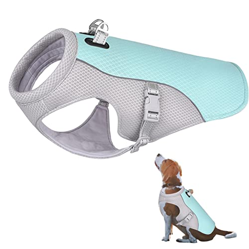 vincente Kühlende Hundeweste - Pet Jacket Hundekühlgeschirr für den Sommer im Freien,Atmungsaktive Mesh-Kühljacke für kleine, mittelgroße und große Hunde S/L/XL/XXL/XXL von vincente