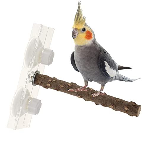 vincente Vogelstangen - Sittiche Vogeltränke Stehplattform Vogelspielständer | Parrot Play Stand Barch Gym mit Saugnapf für kleine mittelgroße Papageien von vincente