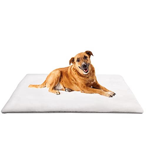 vitazoo Hundedecke 100x70cm - Hundebett Grosse Hunde - Hundematte zum Mitnehmen für Unterwegs oder Outdoor - Hundebett Waschbar, rutschfest, Faltbar und Flauschig - Dog Bed - Hunde Decke weiß von vitazoo