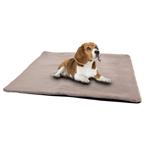 vitazoo Thermo Hundedecke & Katzendecke - 60 x 45 cm Klein - Katzen und Hundematte zum Mitnehmen für Unterwegs oder Outdoor - rutschfest, Waschbar, Faltbar und Flauschig - Grau von vitazoo