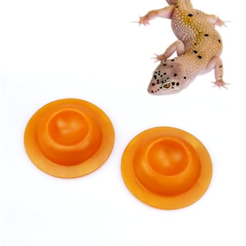 2 Pack Gecko Calcium Dish for Leopard Geckos Reptiles Small Pets Leopard Gecko Food Dish Calcium Bowl Reptile Water Dish Food Bowl von vomvomp