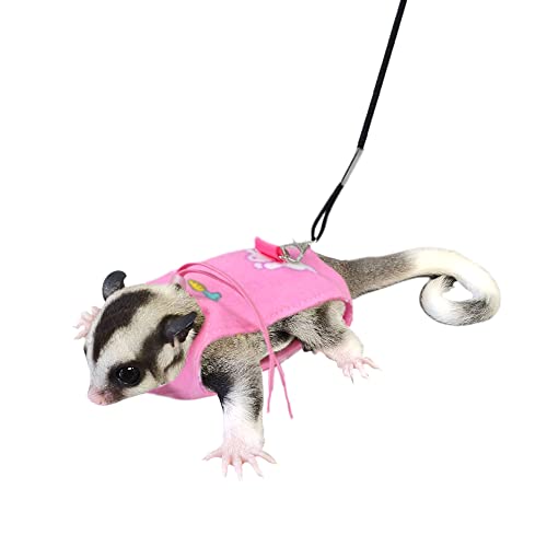 Sugar Glider Harness and Leash Set Adjustable Comfort Harness for Sugar Glider Small Animal Training Walking Vest Leash von vomvomp