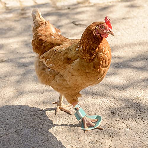 Huhn-Schutzschuhe für Küken, Huhn, Truthahn, Pfoten, Hummelfuß, 2 Stück von vomvomp