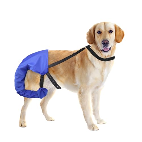 vomvomp Schwanzschutz für Hunde, Schwanzschutz, Tasche mit Klettverschluss, für Happy Tail Syndrom, Happy Tail Lösung von vomvomp