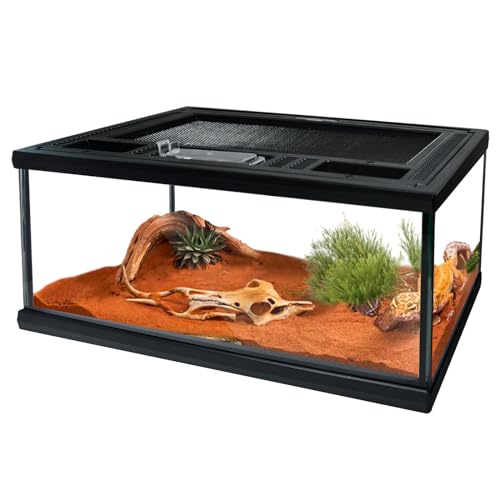 waazoorep Terrarienbecken für Reptilien, Glas, 30,5 x 20,3 x 15,2 cm, kleiner Käfig, Vollsicht mit Belüftung oben, für Vogelspinne, Frosch, Gecko, Insekten, Spinnen, Schlangen, Einsiedlerkrebse, von waazoorep