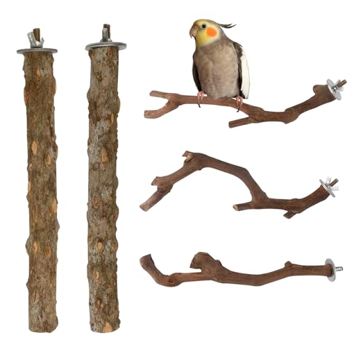 5 Stück Natur Sitzstangen Für Vögel, Vogelstange Aus Holz, Vogel Spielzeug Sitzstangen Set Für Wellensittich Nymphensittich Kanarienvogel von weiting