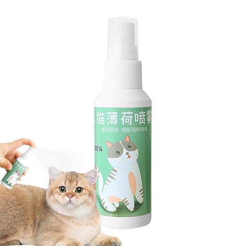 weiting Katzenminze-Spray,Katzenminze-Spray | Natürliche Katzenminze für Katzen | Von Katzen- und Katzenliebhabern zugelassene Katzenminze, sicher und Nicht süchtig machend, 50 ml Katzenminze mit von weiting