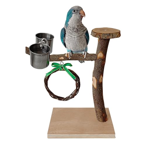 weiting Vogelständer, Vogelkäfigspielzeug aus Holz,Papageienständer aus Holz | Vogelkauspielzeug mit Stabiler Standbasis für Nymphensittiche, Turteltauben, Sittiche, mittelgroße Papageien und von weiting