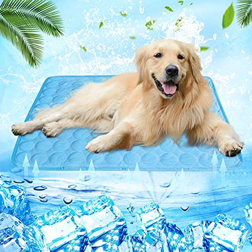 Wenyujh Kühlmatte für Hunde und Katzen, Haustier Kühlmatte, Hundematte Sommer Kalte Unterlage Selbstkühlende Kühldecke Hundebett Wasserdichte Kühlpad Kühlkissen Rutschfest Kühlbett(Blau, 60 * 50cm) von wenyujh