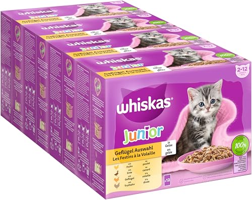 WHISKAS Junior Nassfutter Portionsbeutel Multipack, Geflügelauswahl in Gelee, 12 x 85g von whiskas