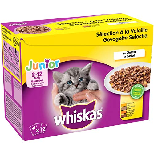 WHISKAS Mahlzeit für Junior-Katzen – 48 Frischebeutel (4 Packungen à 12 x 100 g) – Nassfutter für Kätzchen in Gelee – Huhn/Truthahn/Ente/Geflügel – Vollnahrung und ausgewogene natürliche Inhaltsstoffe von whiskas