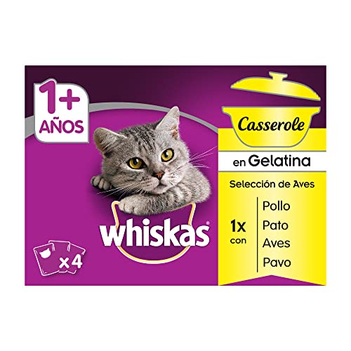 Whiskas Casserole Nassfutter für Katzen, Vogelauswahl, Multipack (13 Boxen x 4 Beutel x 85 g) von whiskas