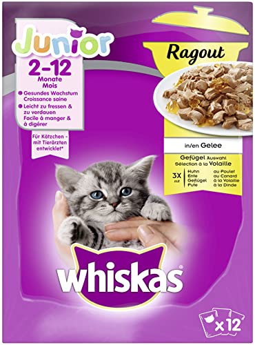 Whiskas Junior Ragout – Hochwertiges Katzennassfutter in 48 Portionsbeuteln für Katzen von 2 - 12 Monaten – Geflügel Auswahl in Gelee für Kätzchen – 4er Pack (4 x 12 Portionsbeutel à 85g) von whiskas