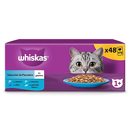 WHISKAS Mahlzeit für Katzen – 48 Frischebeutel (2 Packungen mit 24 x 85 g) – Lieblingsfische (4 Sorten) – Nassfutter für ausgewachsene Katzen im Gelee. Komplettes Nassfutter, auch für sterilisierte von whiskas