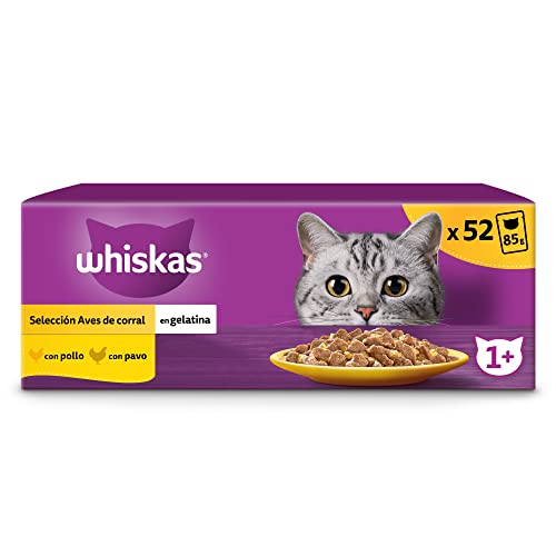 Whiskas Nassfutter für ausgewachsene Katzen, Vogelauswahl in Gelee (13 x 4 Beutel x 85 g) von whiskas