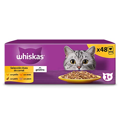 Whiskas Nassfutter für Katzen, Erwachsene, Vogelauswahl, Gelee, Multipack (4 x 12 Beutel x 85 g) von whiskas