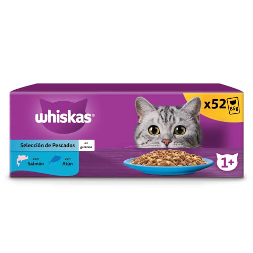 whiskas Nassfutter in Gelee für Katzen, Erwachsene, Fischauswahl, 13 x 4 Beutel x 85 g von whiskas