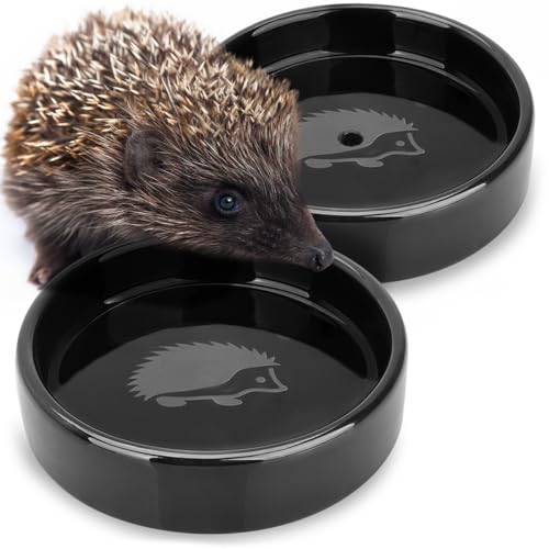 WILDLIFE HOME Igel Futterschale + Trinkschale (2er Set) – 12cm Futterstation stehend I Igelnapf & Igeltränke I Futterspender für Igelhaus Futterhaus, Igelfutterhaus I Wetterfest Igelfutterschüssel von wildlife home