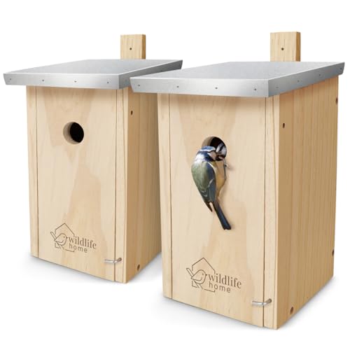 WILDLIFE HOME Nistkasten Meisen - 2er Set mit Metalldach für Blaumeisen & Co. I nach NABU aus verschraubtem Massiv-Holz I Wetterfest & Unbehandelt I Vogelhaus zum Aufhängen, 2 Stück von wildlife home