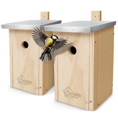 WILDLIFE HOME Nistkasten Meisen - 2er Set mit Metalldach für Kohlmeisen & Co. I nach NABU aus verschraubtem Massiv-Holz I Wetterfest & Unbehandelt I Vogelhaus zum Aufhängen, 2 Stück von wildlife home